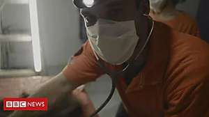 Outbrain Ad Example 41052 - Vet Tries To Save Orangutan Shot 130 Times