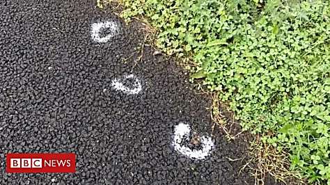 Outbrain Ad Example 45825 - Dog Poo Painter Warned To Stop