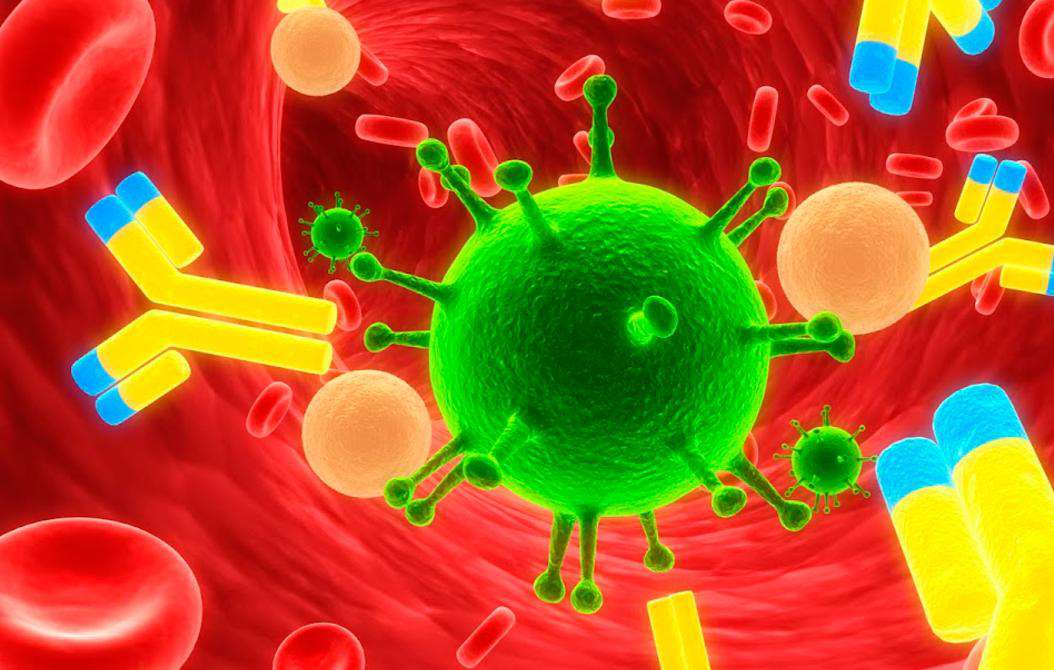 Taboola Ad Example 36193 - Chineses Afirmam Ter Encontrado Anticorpos Eficazes Contra O Coronavírus