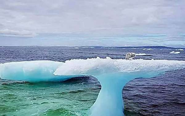Outbrain Ad Example 57501 - [Pics] Fishermen Discover Something Unusual Sitting On A Lone Iceberg. When They Got Closer, They Were Horrified