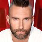 Zergnet Ad Example 51426 - The Real Reason Adam Levine Is Leaving 'The Voice'