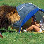 Content.Ad Ad Example 56201 - You’ll Laugh Out Loud At These Hilarious Camping Photos