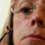 Content.Ad Ad Example 51605 - WATCH: Meet The Woman Addicted To Stinging Herself With Bees