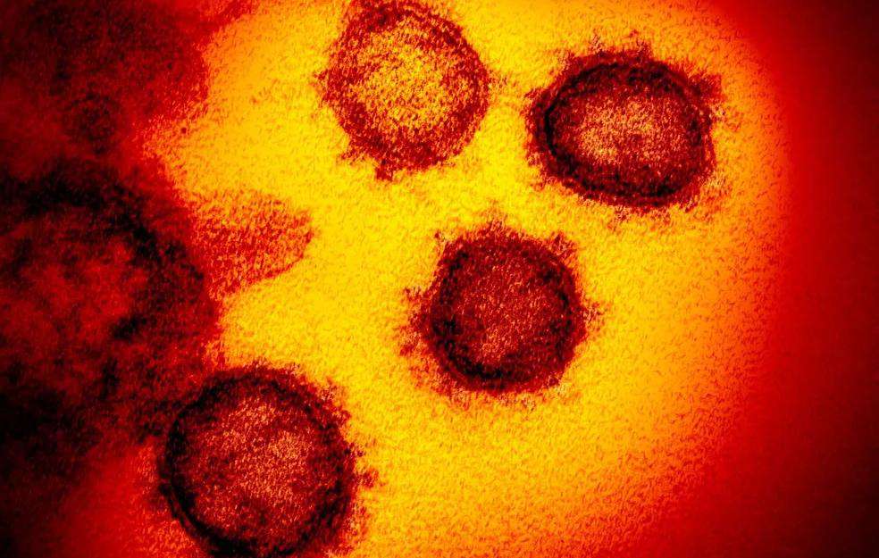 Taboola Ad Example 35254 - Clima Quente E úmido Pode Desacelerar Coronavírus, Dizem Cientistas