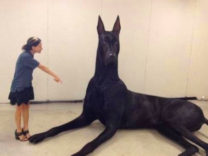 RevContent Ad Example 4540 - Unbelievable! 30 Exceptionally Large Animals That Really Exist