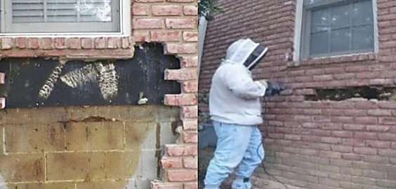 Outbrain Ad Example 43977 - [Photos] Man Tearing Down Brick Wall Uncovers An Unpleasant Sight