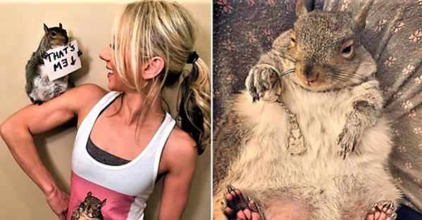 Yahoo Gemini Ad Example 35688 - Squirrel Adopted By NY Couple Becomes Insta Famous