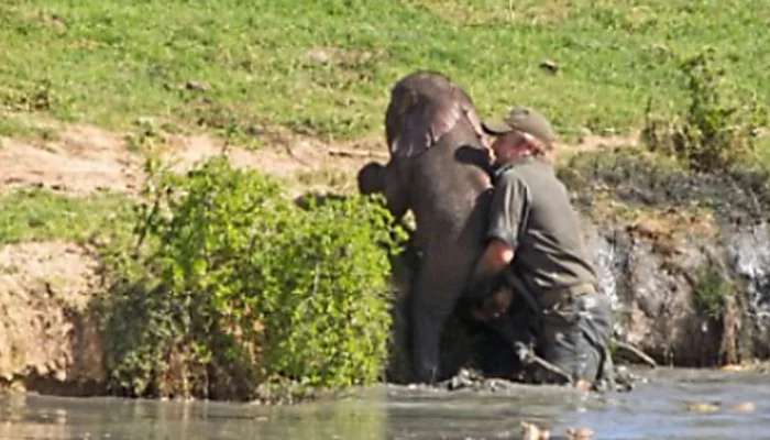Outbrain Ad Example 30296 - [Photos] Mama Elephant Does This After Man Saves Her Drowning Baby