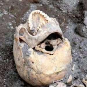 Zergnet Ad Example 59176 - Skull Of Pompeii's 'Unluckiest Man' Reveals Grim Surprise