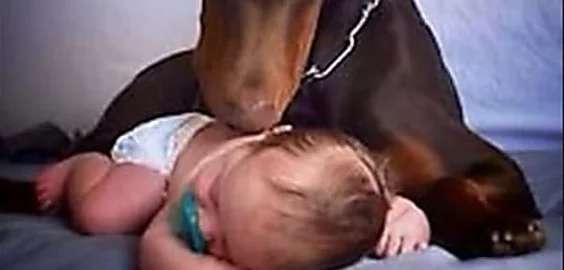 Outbrain Ad Example 42360 - [Photos] Mom Left Him Alone With Dog For Seconds, Then This Miracle Happened