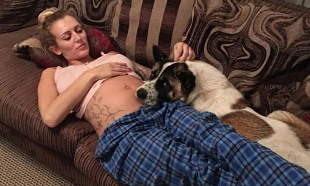 Taboola Ad Example 62364 - Su Perro No Dejaba De Ladrarle A Su Estómago, Luego Esta Mujer Embarazada Descubre Esto