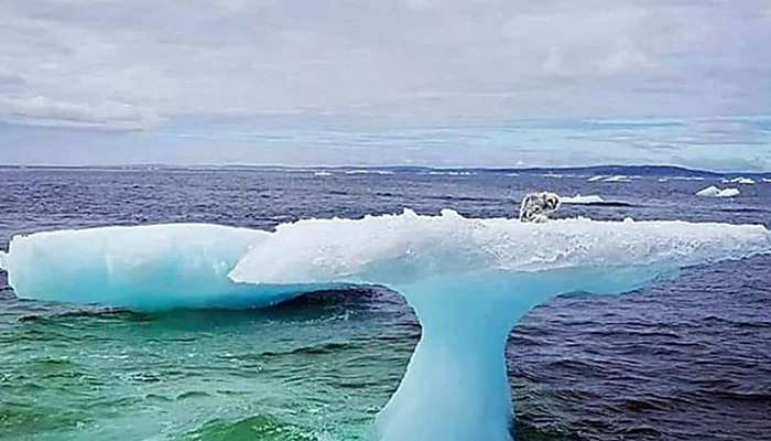 Outbrain Ad Example 57315 - [Pics] Fishermen Discover Something Unusual Sitting On A Lone Iceberg. When They Got Closer, They Were Horrified