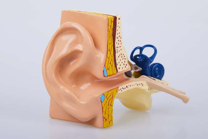 Taboola Ad Example 54585 - Can't Hear Well? Hearing Aids Could Be Very Affordable These Days