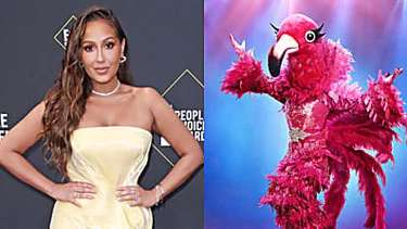 Outbrain Ad Example 47776 - 73% Of ‘The Masked Singer’ Fans Guess Adrienne Bailon Is The Flamingo: What Do YOU Think? [POLL RESULTS]