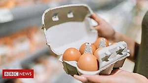 Outbrain Ad Example 46653 - Million Dollar Idea: The Egg Box