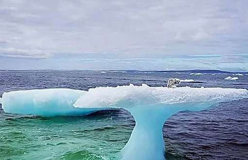 Outbrain Ad Example 57503 - [Pics] Fishermen Discover Something Unusual Sitting On A Lone Iceberg. When They Got Closer, They Were Horrified