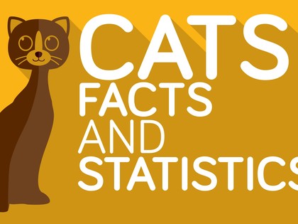 RevContent Ad Example 4031 - Cats: Interesting And Funny Cat Facts You Didn't Know | Powr