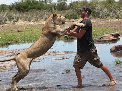 RevContent Ad Example 40409 - Adorable Lioness Saved By A Human Family. What Happen Next Was Incredible