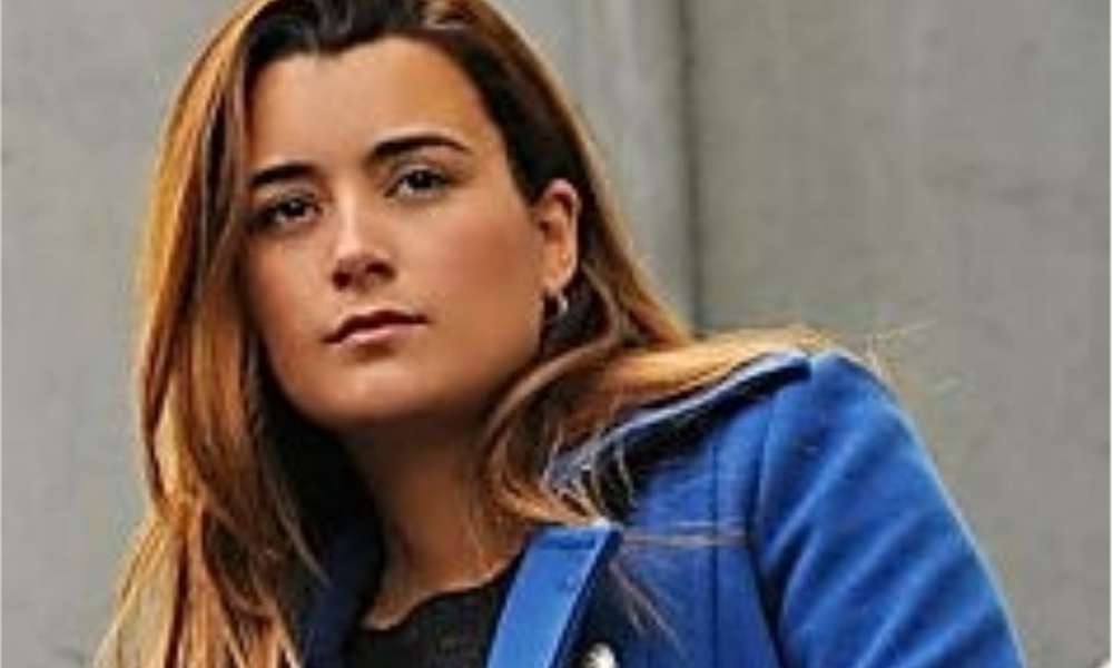 Taboola Ad Example 53675 - Remember Ziva From NCIS? Take A Deep Breath Before You See Her Now
