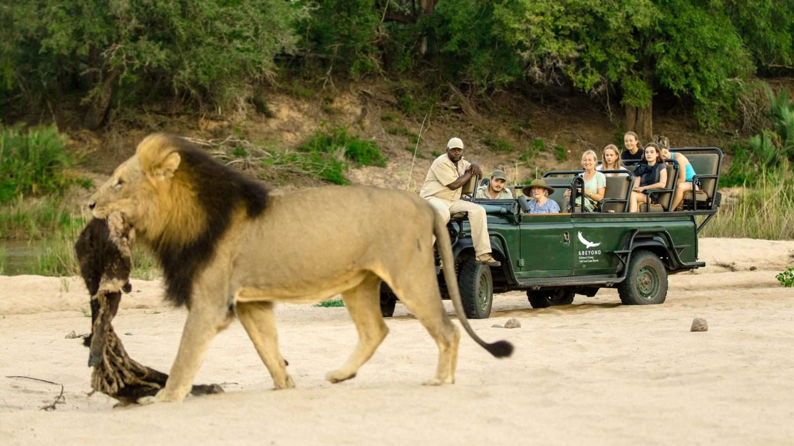 Taboola Ad Example 39591 - The Cost Of A Luxury African Safari Might Surprise You