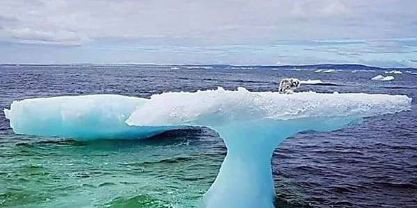 Outbrain Ad Example 57031 - [Pics] Fishermen Discover Something Unusual Sitting On A Lone Iceberg. When They Got Closer, They Were Horrified