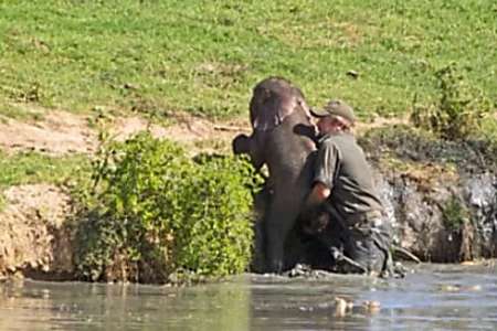 Outbrain Ad Example 30263 - [Photos] Mama Elephant Does This After Man Saves Her Drowning Baby