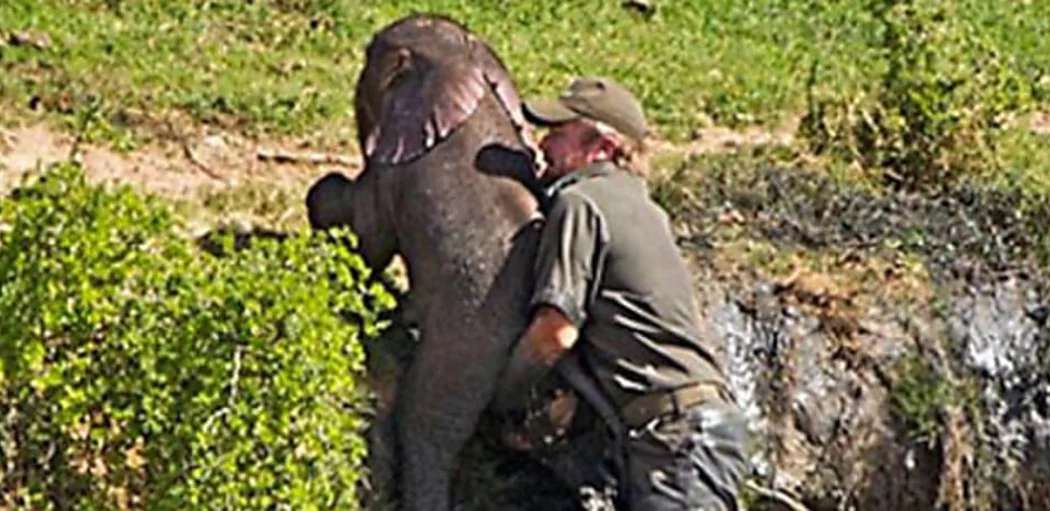 Outbrain Ad Example 46883 - [Photos] Mama Elephant Does This After Man Saves Her Drowning Baby