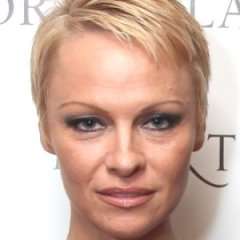Zergnet Ad Example 66628 - Pamela Anderson's Head-Turning Transformation