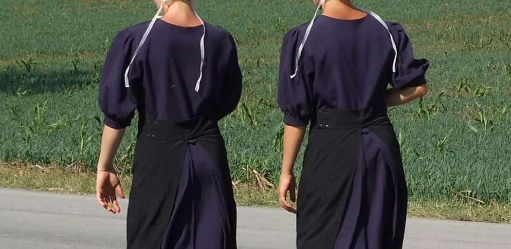 Outbrain Ad Example 56205 - [Gallery] This Is Why Amish People Are Not Allowed To Be Photographed