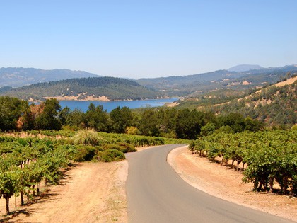 RevContent Ad Example 19202 - Love The Napa Wine Road? Check Out The California Cannabis Trail