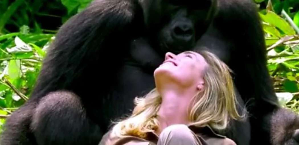 Outbrain Ad Example 56027 - [Pics] Husband Introduces Wife To A Wild Gorilla He Raised, But A Minute Later This Happens
