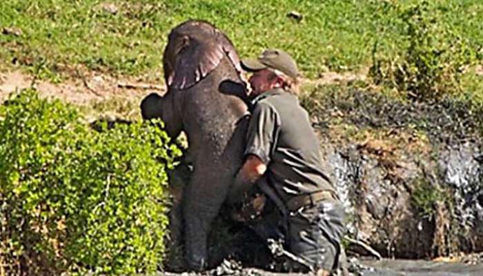 Outbrain Ad Example 46047 - [Photos] Mama Elephant Does This After Man Saves Her Drowning Baby