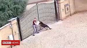 Outbrain Ad Example 47949 - CCTV Shows YouTube Star's Dog Attacking Woman