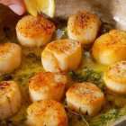 Zergnet Ad Example 48942 - Here’s The Best Way To Cook Scallops