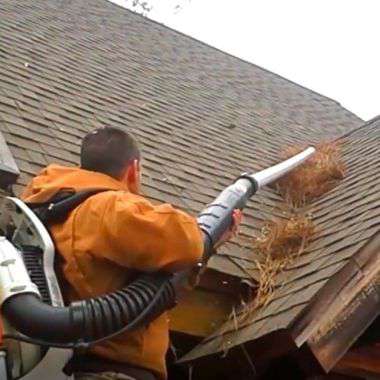 Yahoo Gemini Ad Example 34506 - Discover How To Avoid Cleaning Gutters For Life
