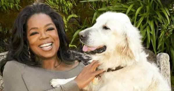 Yahoo Gemini Ad Example 48022 - Oprah Lets Cameras Inside Her $90M Lavish Mansion