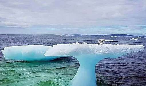 Outbrain Ad Example 58000 - [Pics] Fishermen Discover Something Unusual Sitting On A Lone Iceberg. When They Got Closer, They Were Horrified