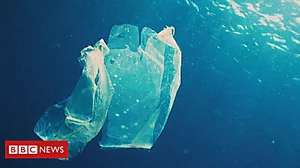 Outbrain Ad Example 42751 - How Plastic Bags Were Supposed To Help The Planet