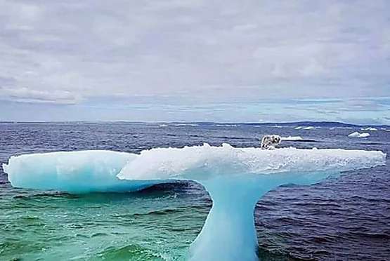 Outbrain Ad Example 53021 - [Pics] Fishermen Discover Something Unusual Sitting On A Lone Iceberg. When They Got Closer, They Were Horrified