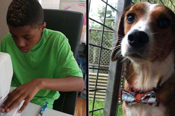 Taboola Ad Example 31318 - Boy Comes Up With Sweetest Idea To Help Shelter Dogs Get Adopted