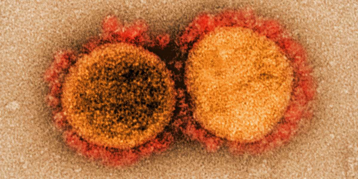 Taboola Ad Example 38159 - How Viruses Like The Coronavirus Mutate