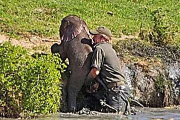 Outbrain Ad Example 46856 - [Photos] Mama Elephant Does This After Man Saves Her Drowning Baby