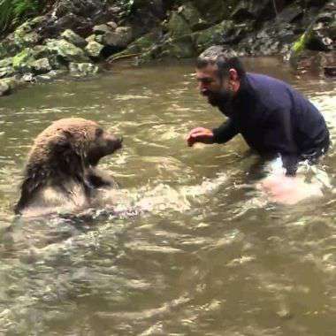 Yahoo Gemini Ad Example 41743 - Mama Bear Pleads Man To Save Her Drowning Cubs