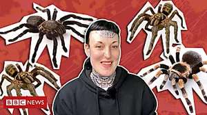 Outbrain Ad Example 32639 - 'I Hated Spiders But Now Sleep With 32 Tarantulas'