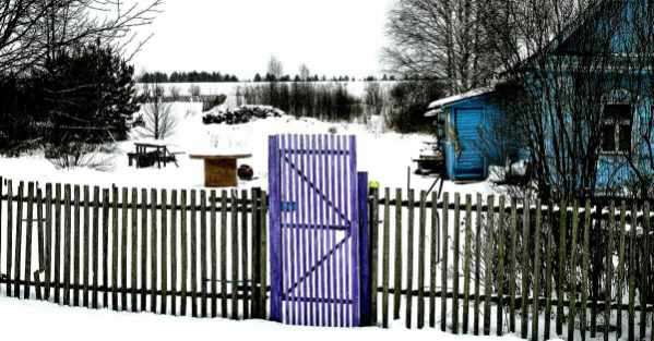 Yahoo Gemini Ad Example 46176 - Here's Why Americans Are Painting Fences Purple