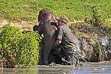 Outbrain Ad Example 46861 - [Photos] Mama Elephant Does This After Man Saves Her Drowning Baby