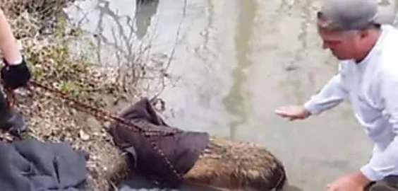 Outbrain Ad Example 57358 - [Photos] Man Thinks He Sees A Huge Beaver In The Creek, Pulls It Up And Realizes His Mistake