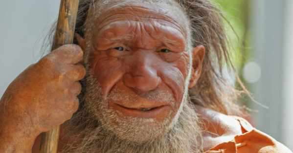 Yahoo Gemini Ad Example 32171 - Early Humans May Have Looked Something Like This