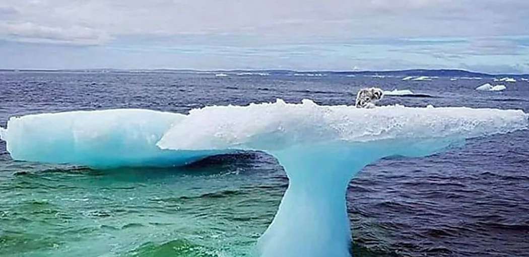 Outbrain Ad Example 52917 - [Pics] Fishermen Discover Something Unusual Sitting On A Lone Iceberg. When They Got Closer, They Were Stunned