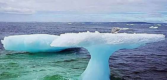 Outbrain Ad Example 56874 - [Pics] Fishermen Discover Something Unusual Sitting On A Lone Iceberg. When They Got Closer, They Were Horrified